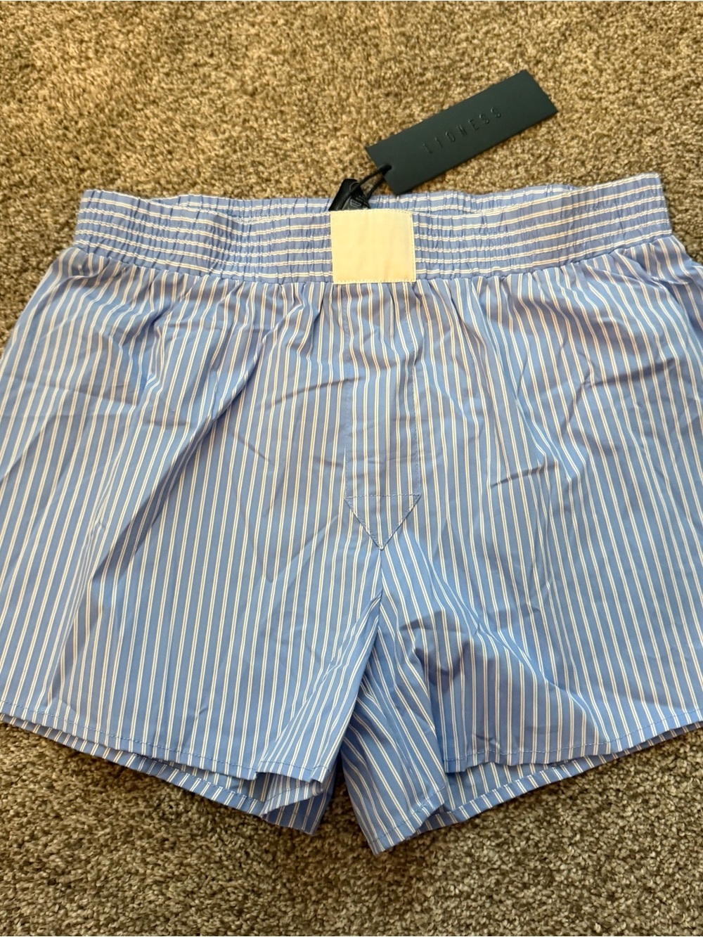 Lioness Blue & White Striped Cobain Shorts